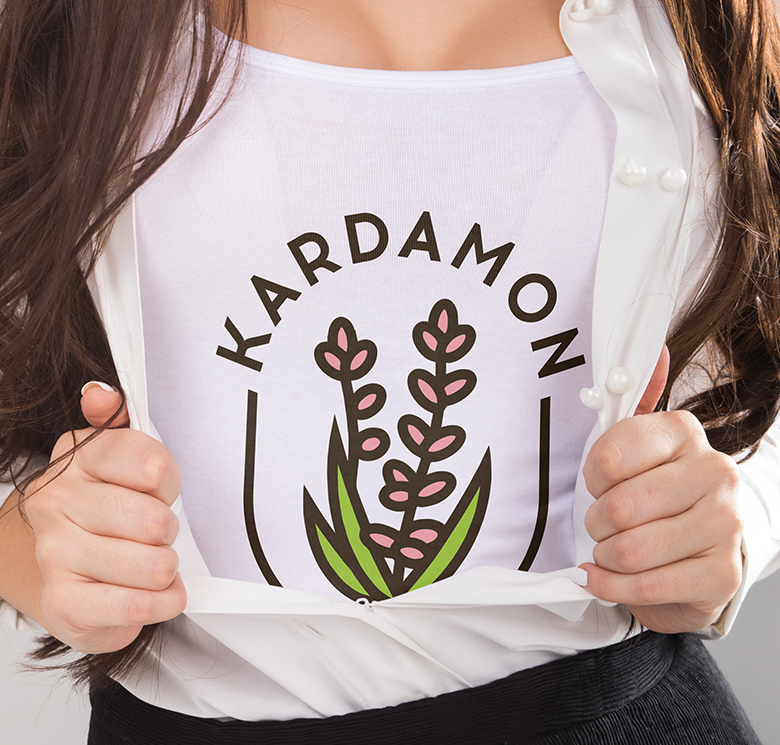 Фирменный стиль Kardamon