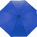 Зонт-трость автомат Economix PROMO CITY с логотипом Фото 3